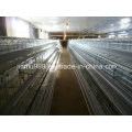 Hot Sale Cages for Layer Battery Chicken